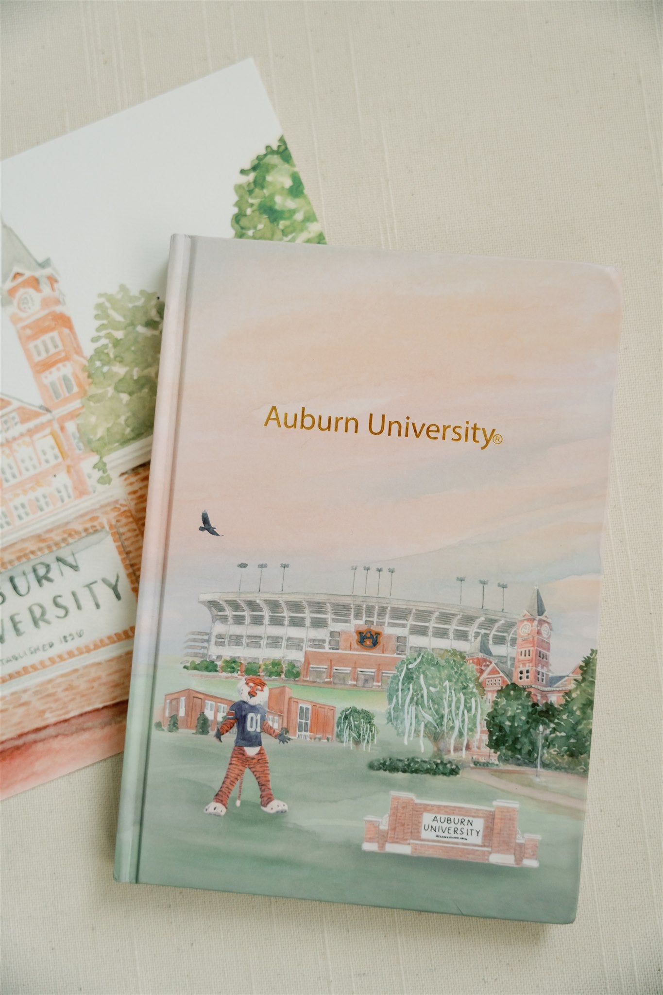 Hardcover notebook with watercolor illustration of Auburn and gold foil spelling "Auburn University."
