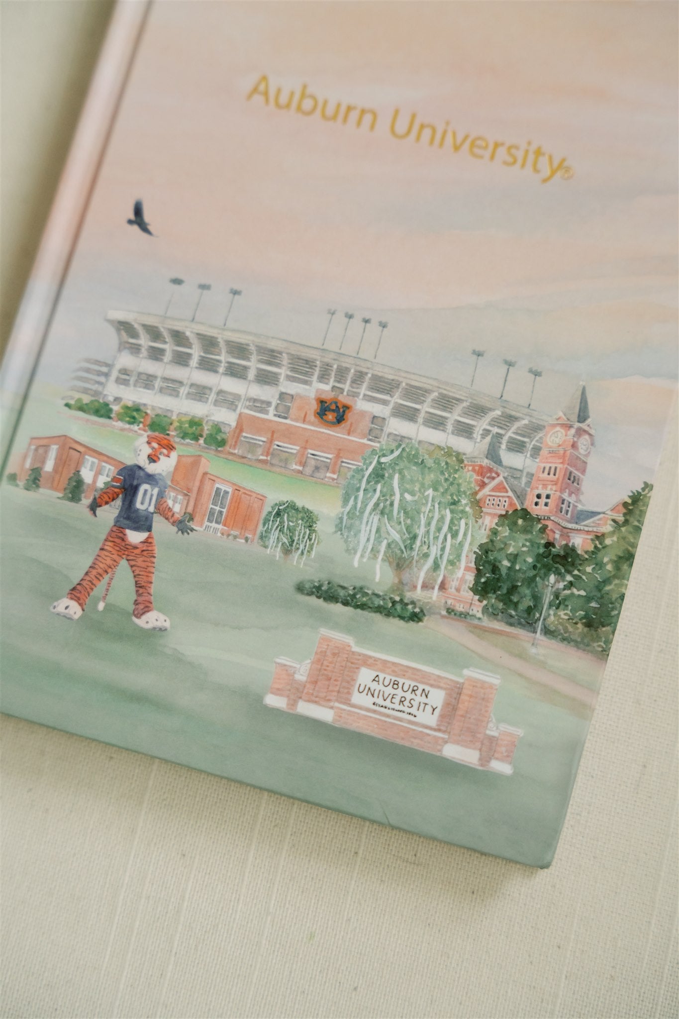 Hardcover notebook with watercolor illustration of Auburn and gold foil spelling "Auburn University."