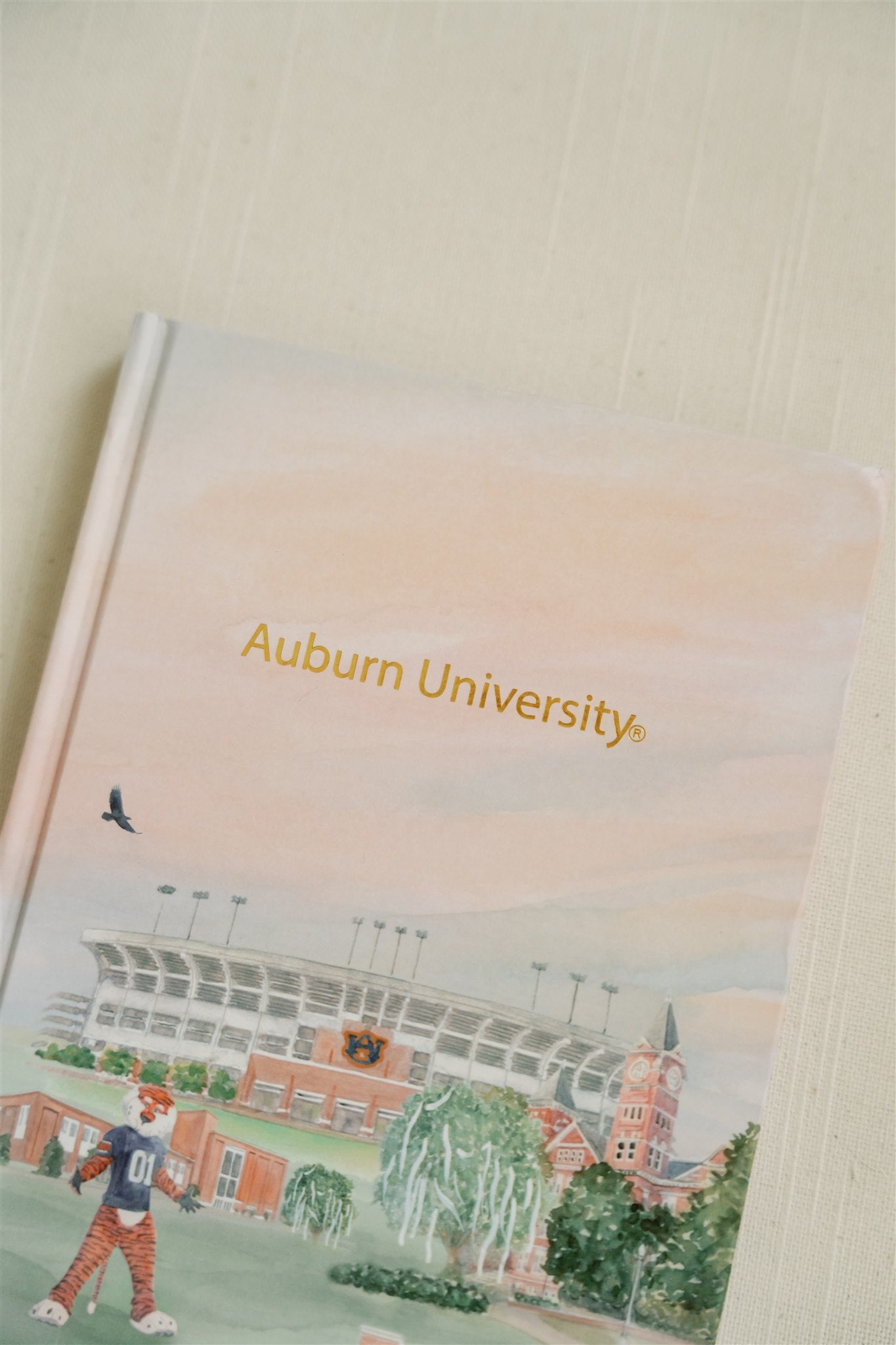 Hardcover notebook with watercolor illustration of Auburn and gold foil spelling "Auburn University."