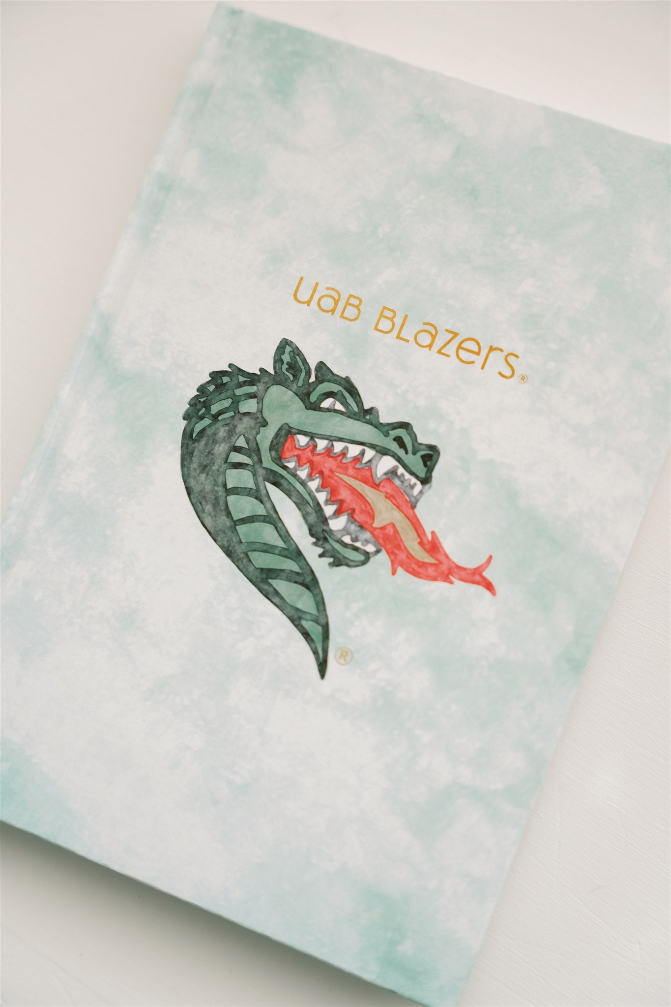 Light green hardcover notebook with a watercolor UAB mascot and "UAB Blazers" on the front.