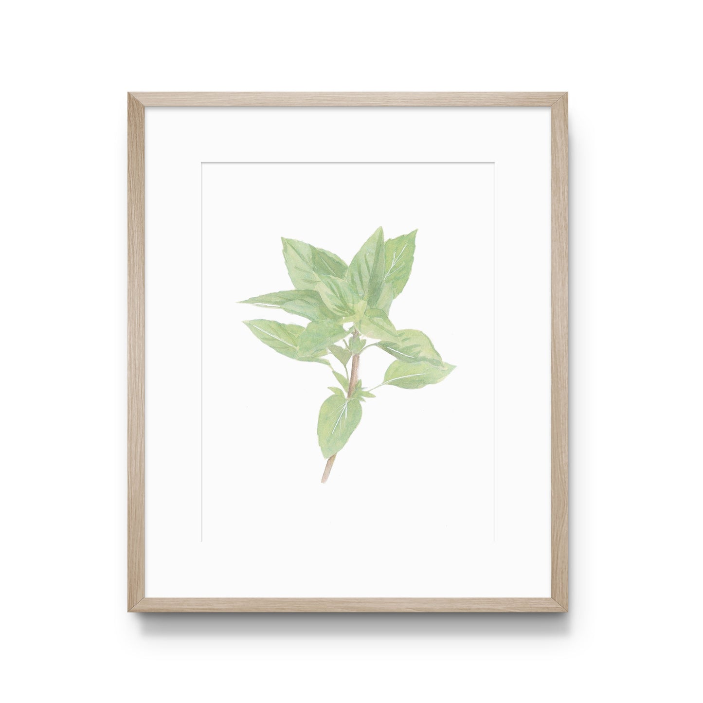 Basil Print