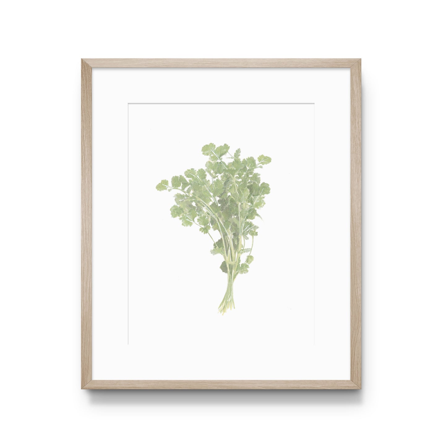 Cilantro Print