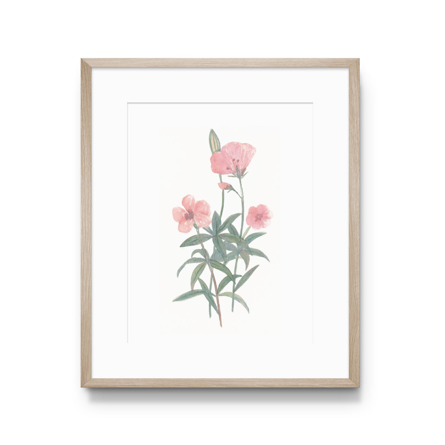 Geranium Print