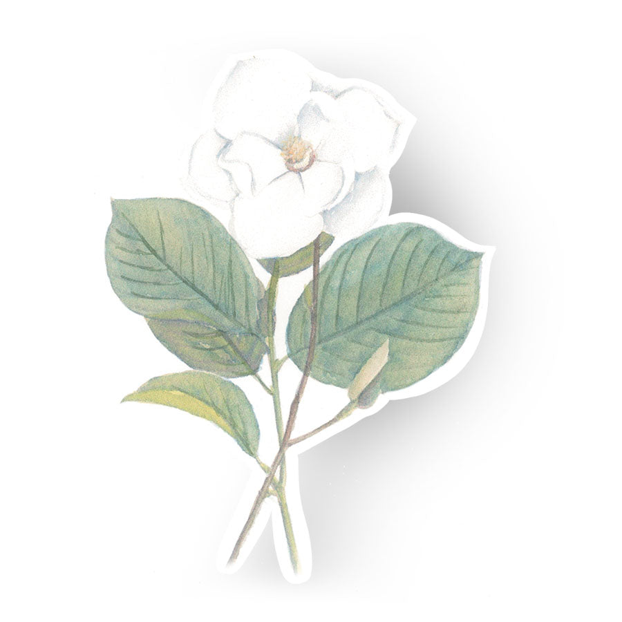 Magnolia sticker