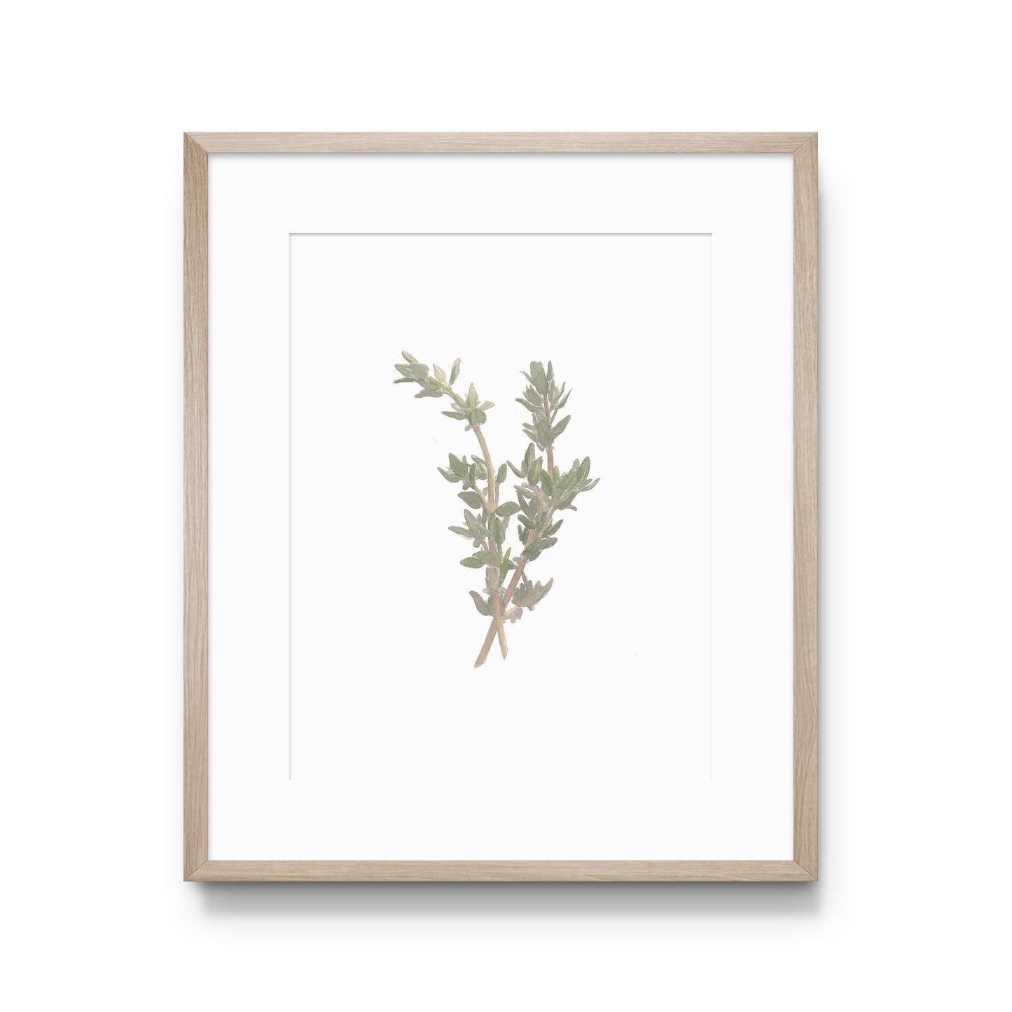 Thyme Print