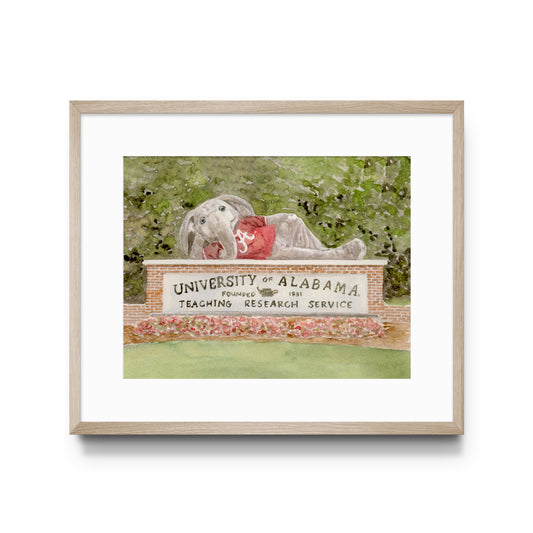 Framed artwork of Alabama's mascot with a sign at the University of Alabama