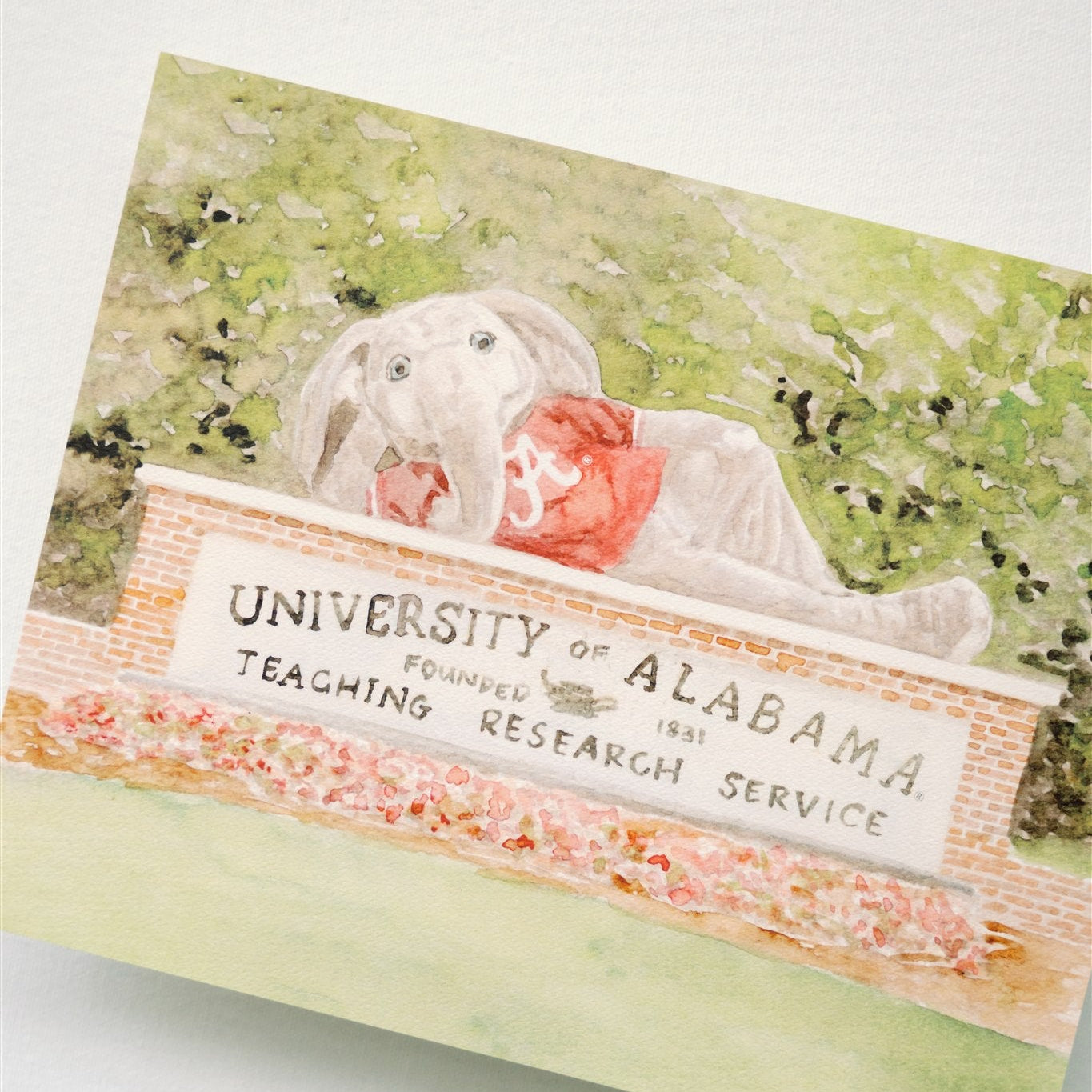 Watercolor art of Alabama's mascot laying on top of University of Alabama sign.