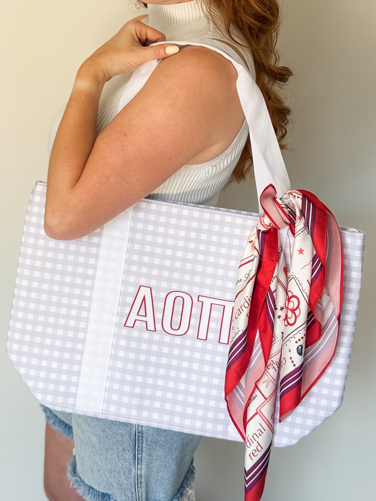 Alpha Omicron Pi Silk Scarf