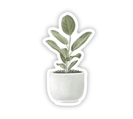 Fiddle Leaf Sticker