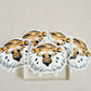 Aubie sticker
