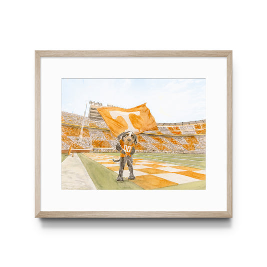 University of Tennessee Smokey Art Print