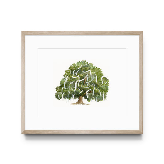 Watercolor art of Auburn University's Toomer's Oak Tree