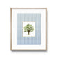 Auburn Toomer's Oak Striped Print