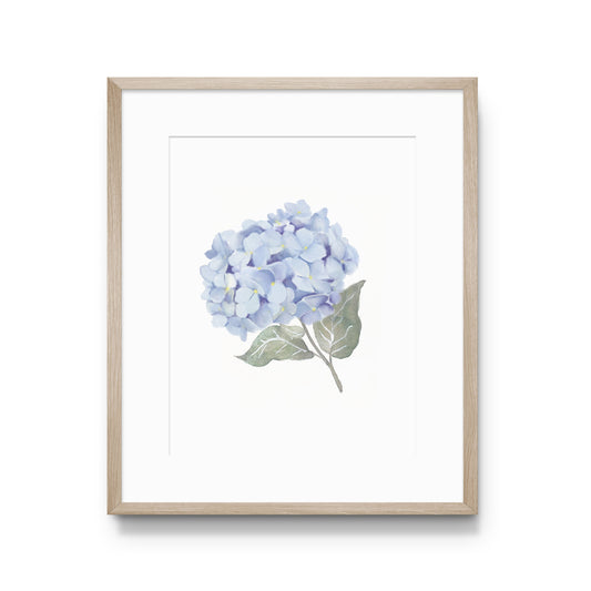 Blue Hydrangea Print