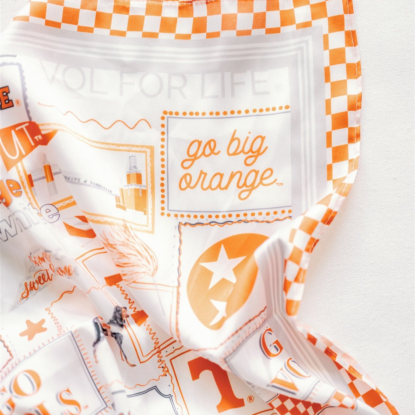 Tennessee Silk Scarf