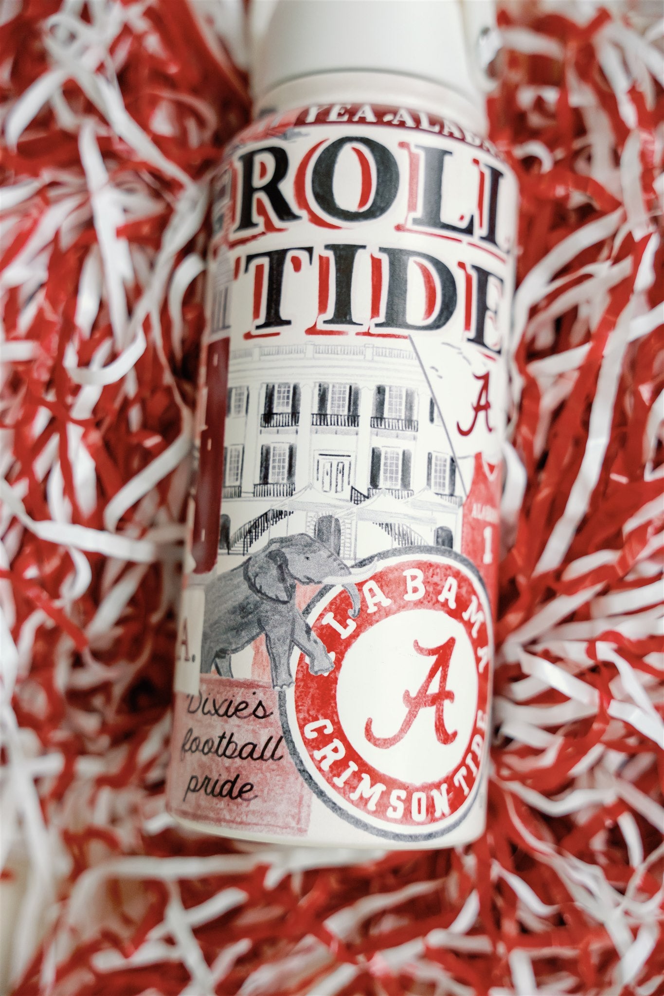 The University of Alabama Water Bottle